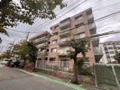 パラッツィーナセシリア仁川の外観