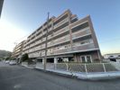 メリヤス岡場の間取り画像