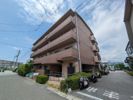 エミネンス大島の間取り画像