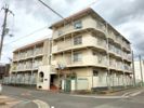 シャトル・イツキの外観