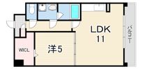マ メゾン金楽寺の間取り画像