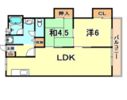 メゾンクレオの間取り画像
