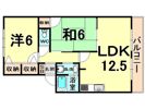 アンソレイエIZUMIの間取り画像