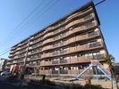 クレモナ山手の間取り画像