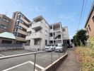 メゾン梅ノ木の間取り画像