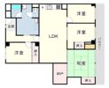 スターハイツ住吉川の間取り画像