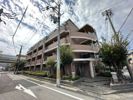 セレナ東甲子園の間取り画像