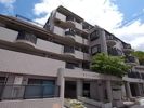 サンハイム神戸の間取り画像