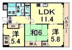 ルシェール立花の間取り画像