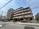 レジェンダリー小松の外観