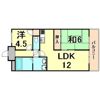 ドミール甲子園の間取り画像