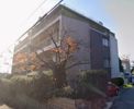 芦屋三条マンションの間取り画像