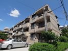 ノイエステ瓦屋の間取り画像