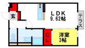 アモーレ五条の間取り画像