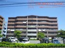 スルス門松IIの間取り画像