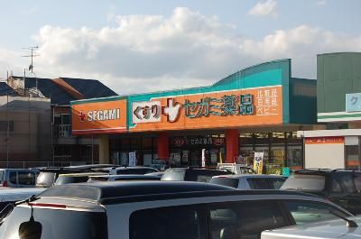 近くのセガミ薬局まで500m(徒歩7分)