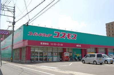 近くのコスモスまで1,000m（徒歩13分）