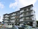 都府楼サンハイツの外観