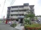 ハイアルブル迎田の外観