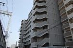 マノアール大橋の外観
