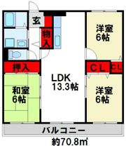シャトレ参番館の間取り画像