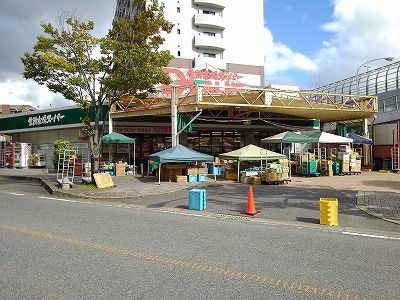 近くのダイキョーバリュー野多目店まで850m（徒歩11分）