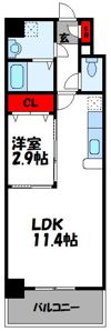 CASSIOPEIA HAKOZAKIの間取り画像