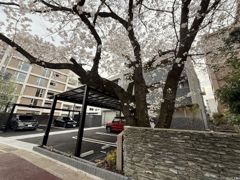 シャーメゾン桜の外観画像