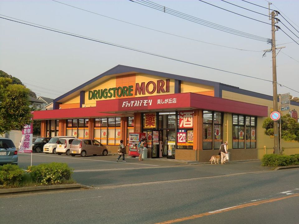 近くのドラッグストアモリ美しが丘店まで1,047m（徒歩14分）