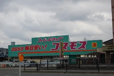 近くのディスカウントドラッグコスモス三苫店まで774m（徒歩10分）
