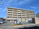 ヒルズ天神の間取り画像