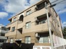 ラフィーネ西新の間取り画像
