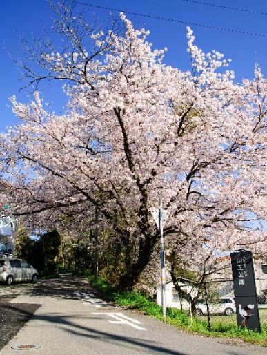 近くの山王公園まで360m（徒歩5分）