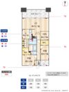 Nudgeone.照葉の間取り画像