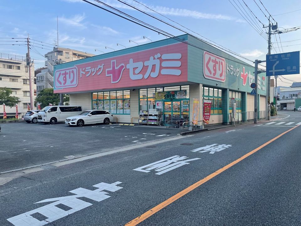 近くのドラッグセガミ 平尾山荘通り店まで448m（徒歩6分）