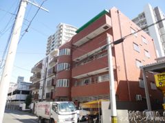 大宮スカイハイツの外観画像