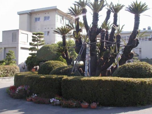 近くの福岡市立箱崎中学校まで653m（徒歩9分）
