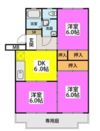 アイビーハイツの間取り画像