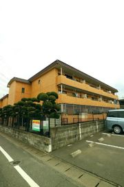 第2大池ハイツの外観画像