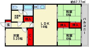 第2大池ハイツの間取り画像