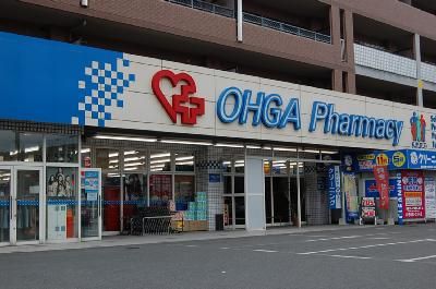 近くの大賀薬局まで1,019m（徒歩13分）