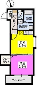 メゾンスペースの間取り画像