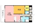 グラシア大濠の間取り画像