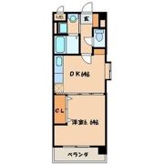 ヒルズ平尾の間取り画像