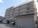 エリーナ箱崎の間取り画像