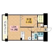 グラシア大濠の間取り画像