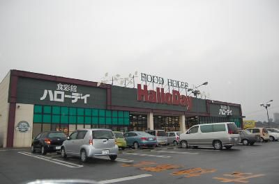 近くのハローディまで1,200m(徒歩15分)