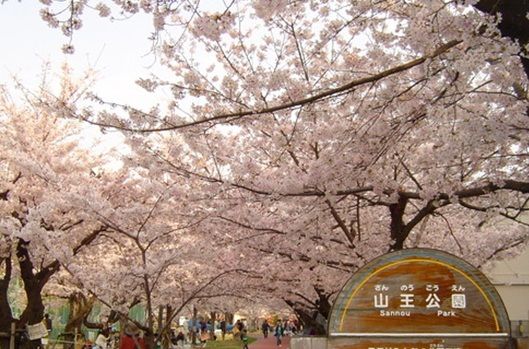 近くの山王公園まで350m（徒歩5分）