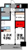 ラフィーネ箱崎駅前の間取り画像