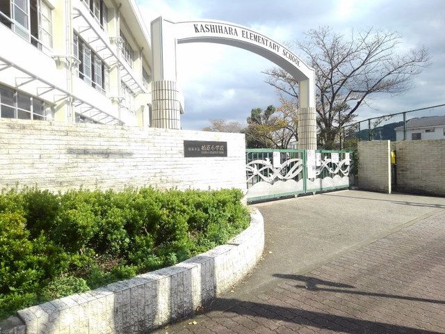 近くの福岡市立柏原小学校まで700m(徒歩9分)